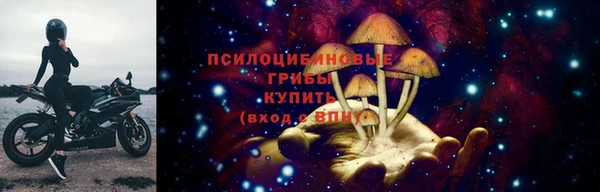 a pvp Михайлов
