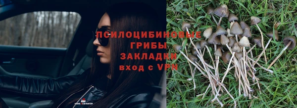 spice Михайловск